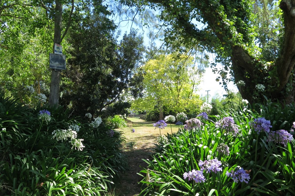 Asquith park 12, BM, 2016 The Asquith Ave park