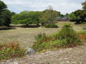 Asquith Ave's park