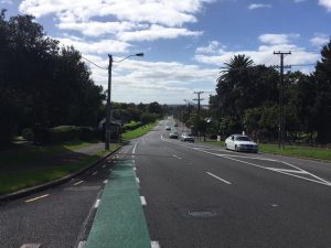 Carrington Rd in Mt Albert