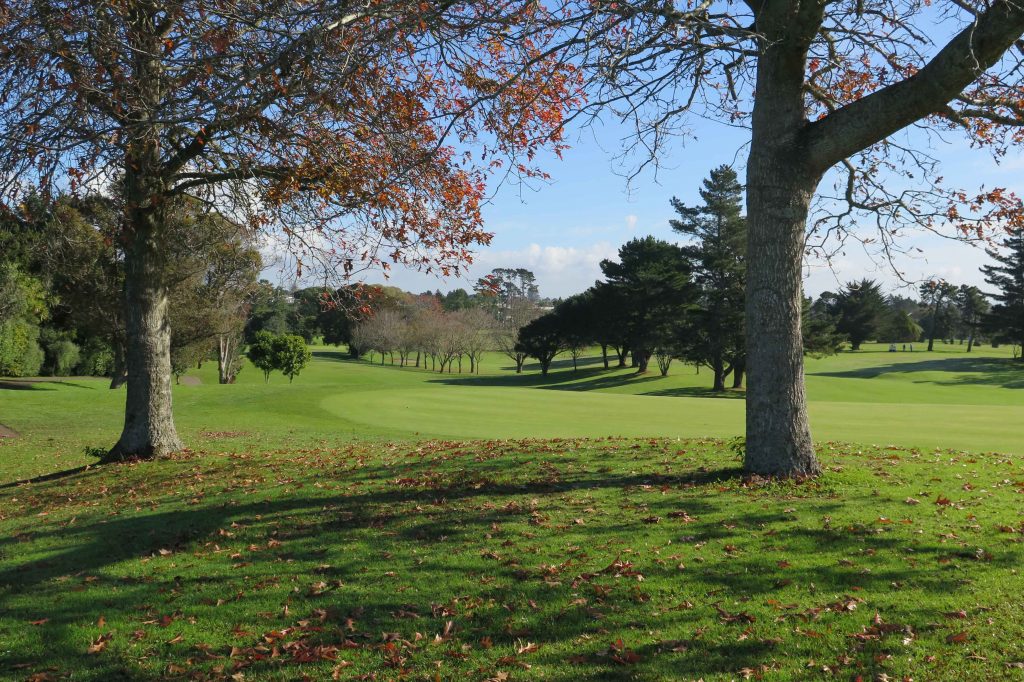 Chamberlain Park golf course
