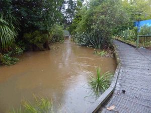 The Roy Clements Treeway with swollen Meola Creek