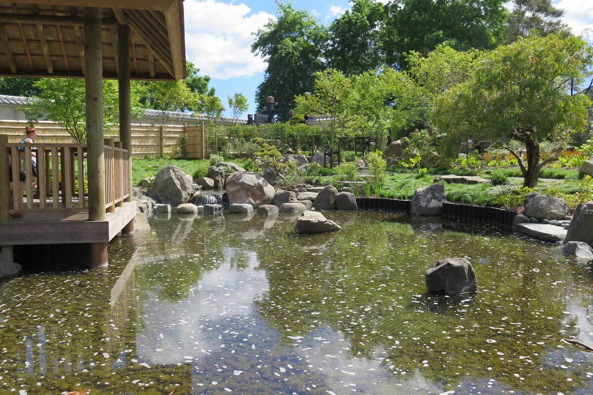 Fukuoka Garden in Western Sp;rings Lake Reserve