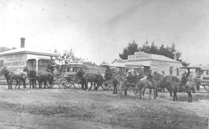 Horse buses servicing Mt Albert.