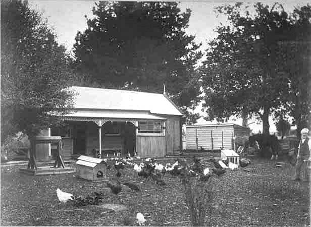 A Mt Albert cottage around 1900.