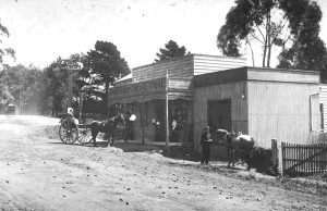 The Mt Albert General Store