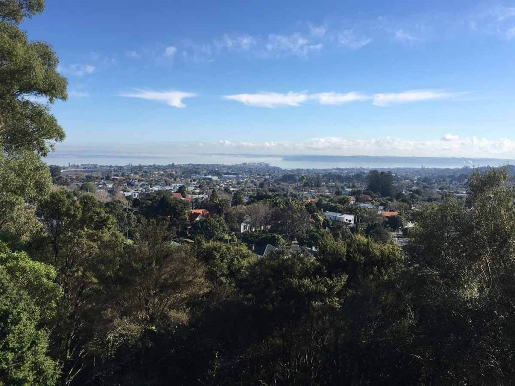 Mt Albert view from the cop