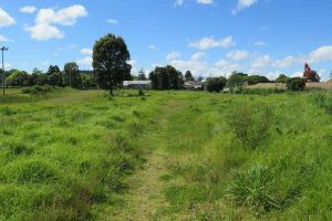 The Ngati Whatua landf in Mt Albert's Uniotec precinct