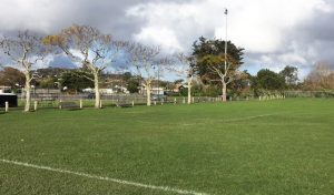 Mt Albert's Phyllis Reserve