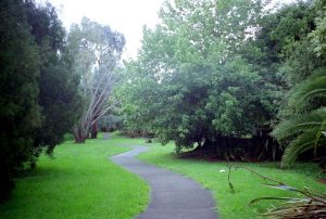 Roy Clements Treeway - showing the concrete path in 2001