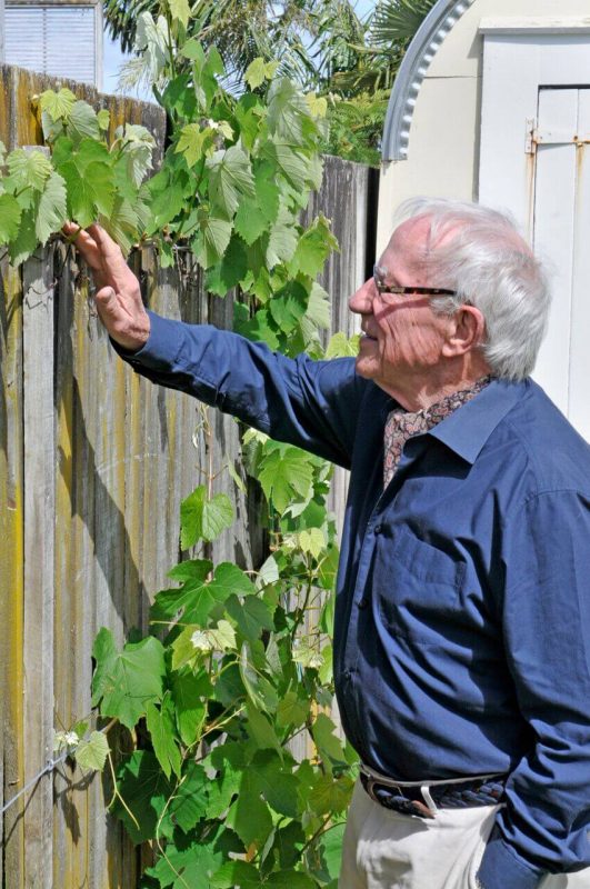 Sir Harold Marshall in the grounds of his Mt Albert home. Picture: Julia Thorne