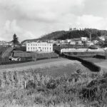 The origins of the present Plant and Food research centre in Mt Albert in 1937. Copyright © Plant & Food Research