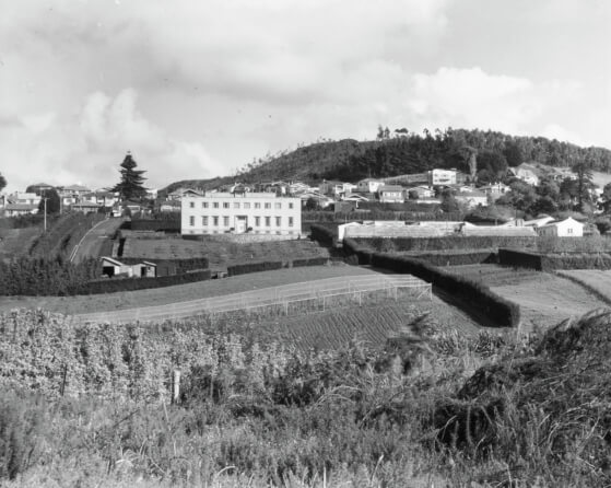 The origins of the present Plant and Food research centre in Mt Albert in 1937. Copyright © Plant & Food Research
