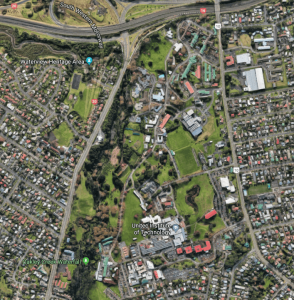 The Uniotec land in Mt Albert