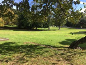 A huge new housing development will rise on the Unitec land in Mt Albert