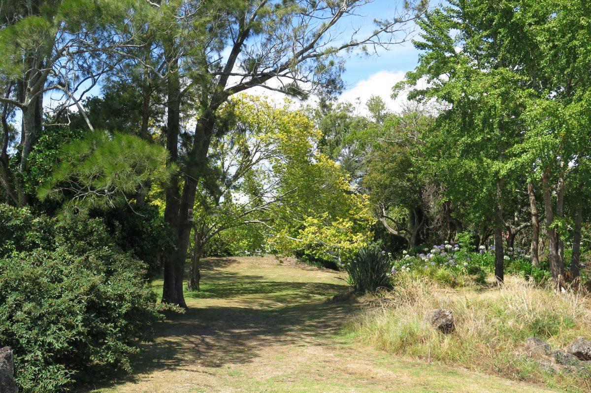 Asquith park 5, BM, 2016 Asquith Ave in Mt Albert