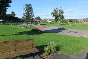 Owairaka Park