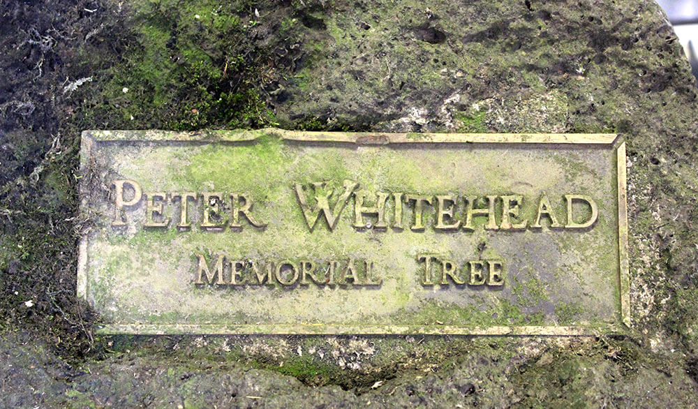 Peter Whitehead plaque found in Meola Creek Memorial for Peter Whitehead found in Meola Creek at Mt Albert