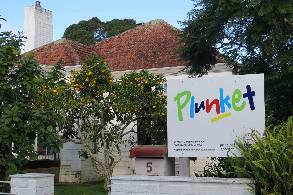 Mt Albert plunket
