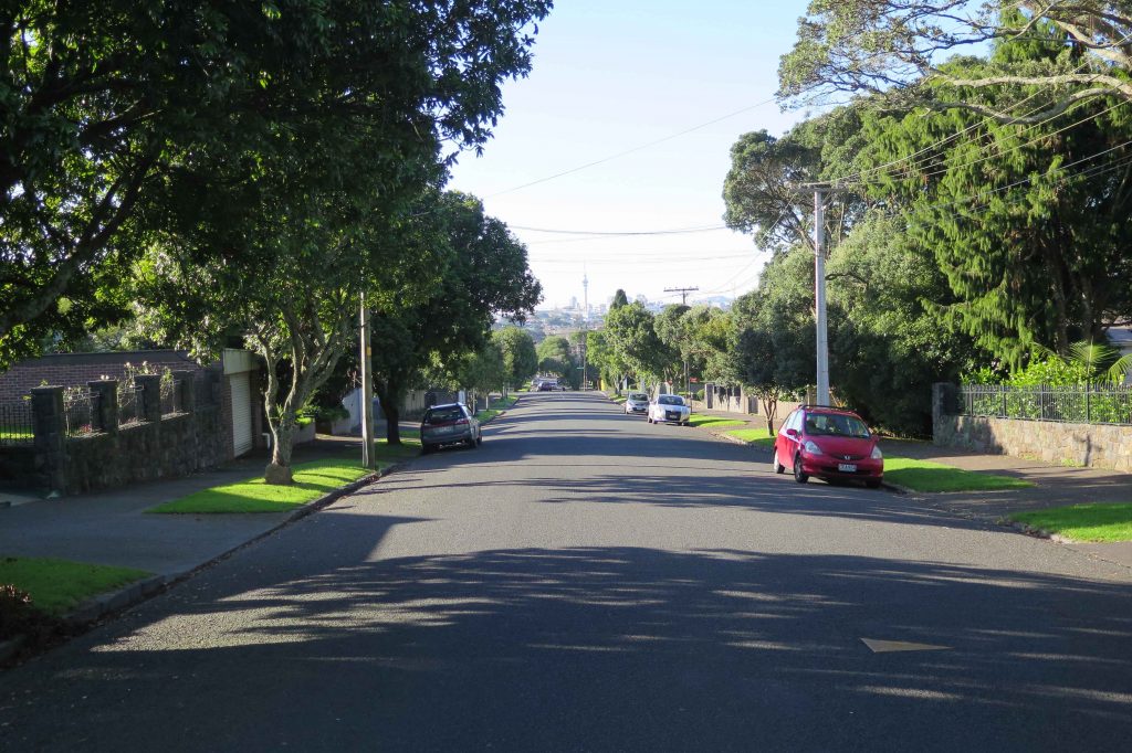 Streets of Mt Albert