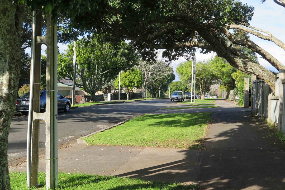 Streets of Mt Albert
