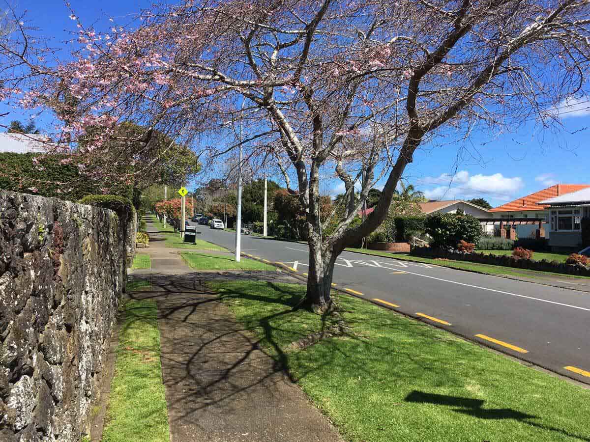 Mt Albert home-owners will pay a higher porition in the rates next year after rises in capital values. Mt Albert home-owners will pay a higher porition in the rates next year after rises in capital values.