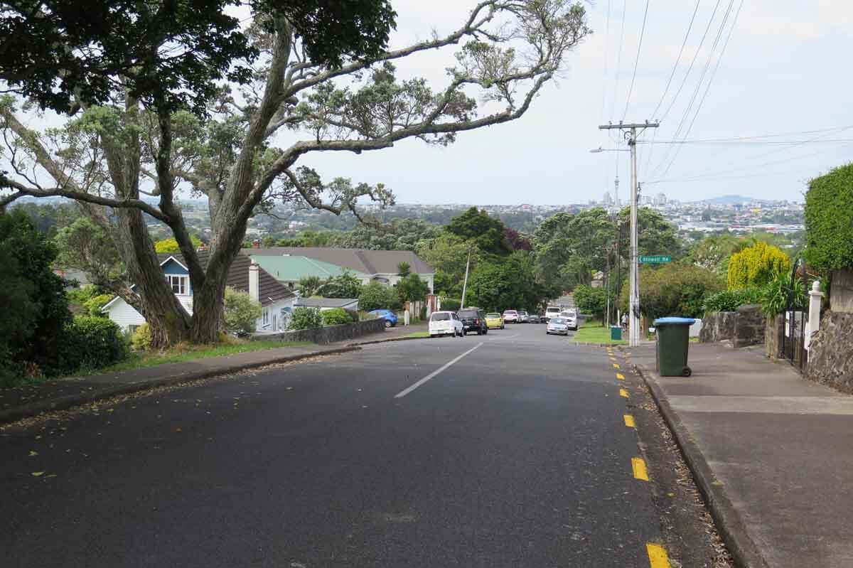 Summit Drive, Mt Albert 2