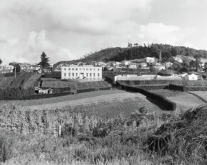 The origins of the present Plant and Food research centre in Mt Albert in 1937. Copyright © Plant & Food Research