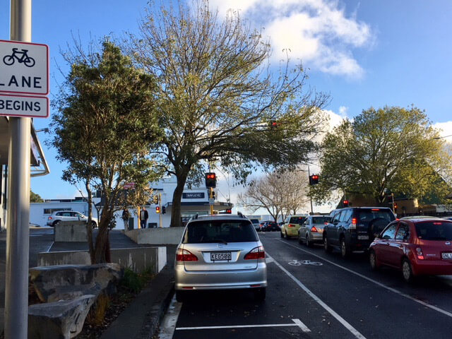 Mt Albert village tree