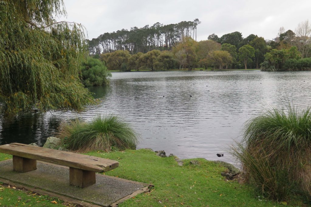 Western Springs Lake