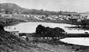eden park before development